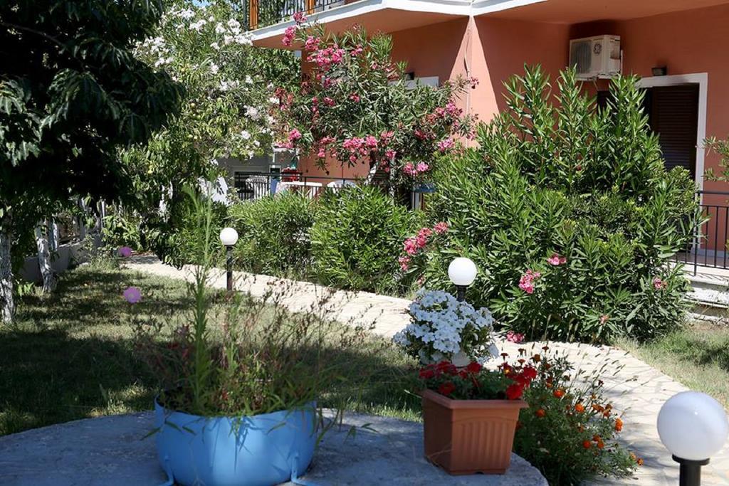 Vassilis Studio's